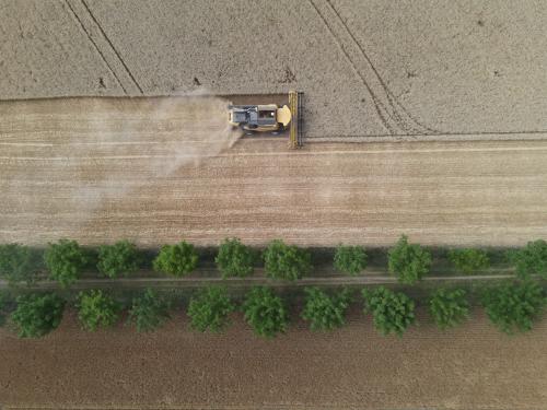DJI_3634.JPG
